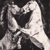 Fighting Horses Monochrome Diamond Painting