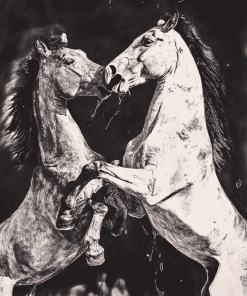 Fighting Horses Monochrome Diamond Painting