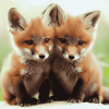 Fox Cubs Playful Diamond Painting