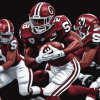 Gamecocks Football Legacy Diamond Painting