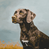 German Shorthair Puppy Diamond Painting