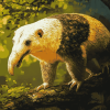 Giant Anteater Wildlife Diamond Painting