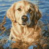 Golden Retriever Summer Fun Diamond Painting