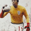 Gordon Banks Soccer Legend Diamond Painting