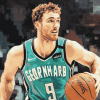 Gordon Hayward Hornets Diamond Painting