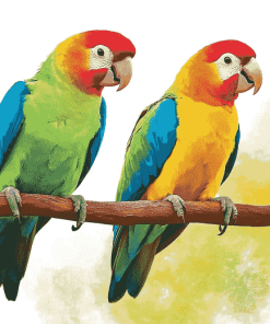 Green Parrot Birds Diamond Painting