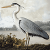 Grey Heron Birds Diamond Painting