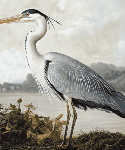 Grey Heron Birds Diamond Painting