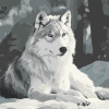 Grey and White Wolf Diamond Painting