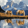 Haflinger Horses in Mountain Scenery Diamond Painting