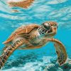 Hawaii Sea Turtle Diamond Painting