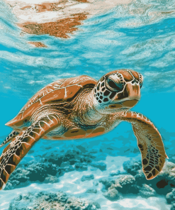 Hawaii Sea Turtle Diamond Painting