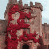 Hever Castle Wall Red Plants Diamond Painting