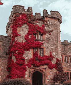 Hever Castle Wall Red Plants Diamond Painting