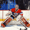 Hockey Goalie Sports Enthusiast Diamond Painting