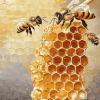 Honey Bee Hive Nature Diamond Painting