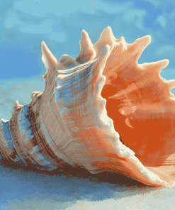 Horse Conch Seashell Diamond Painting