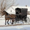 Horse-Drawn Amish Buggy Diamond Painting