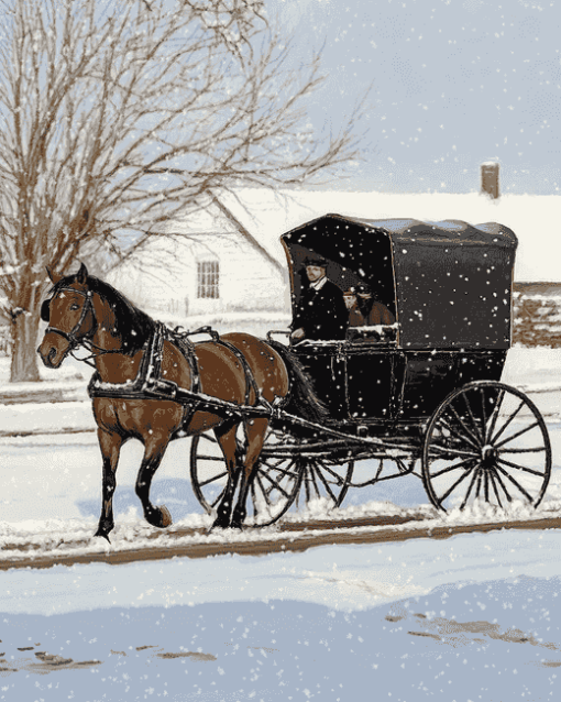 Horse-Drawn Amish Buggy Diamond Painting