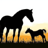 Horse Sunset Silhouette Diamond Painting