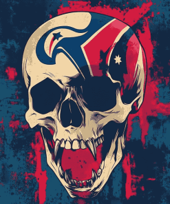 Houston Texans Skull Diamond Painting