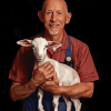 Incredible Dr Pol Goat Episode Diamond Painting