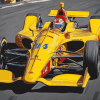 Indy Car Race Diamond Painting