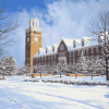 Iowa State Winter Wonderland Diamond Painting