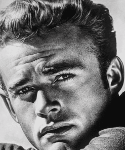 James Dean Black and White Diamond Painting