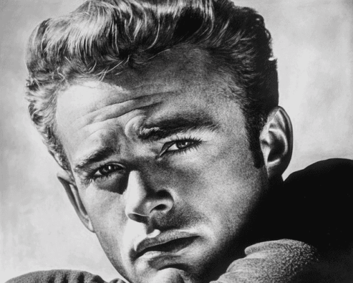 James Dean Black and White Diamond Painting