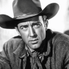 Jimmy Stewart Cowboy Diamond Painting