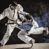 Jiu Jitsu Martial Arts Diamond Painting