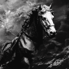 Karl Max Famous Black and White Diamond Painting