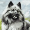 Keeshond Hound Diamond Painting