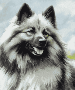 Keeshond Hound Diamond Painting