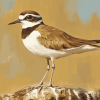 Killdeer Bird Diamond Painting