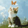 Kitten and Butterfly Diamond Painting