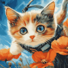 Kitty Poppies Diamond Painting