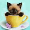 Kitty in a Cup Diamond Painting