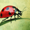 Ladybird Insect Bliss Diamond Painting