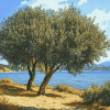 Lake and Olive Trees Diamond Painting