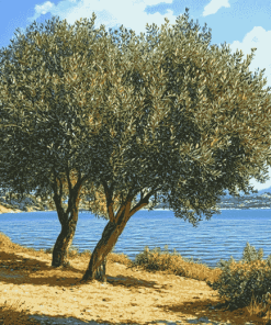 Lake and Olive Trees Diamond Painting