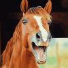 Laughing Horse Brown Diamond Painting