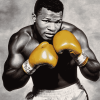 Legendary Sugar Ray Robinson Diamond Painting