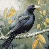 Lonely Huia Bird Diamond Painting