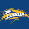 Los Angeles Chargers Football Diamond Painting