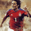 Luca Toni Football Diamond Painting