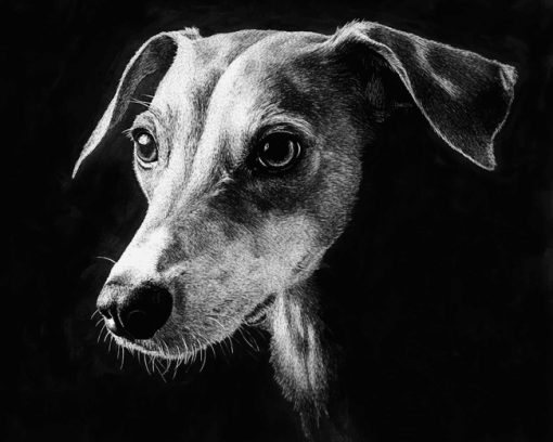 Lurcher Black and White Diamond Painting