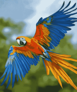 Macaw Parrot Birds Diamond Painting