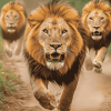 Majestic Lion Wildlife Diamond Painting